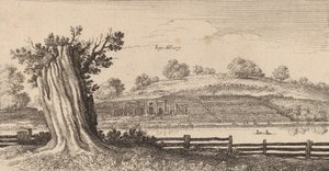 Albury, 1645. av Wenceslaus Hollar
