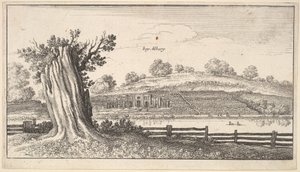 Albury med trestubbe i forgrunnen, 1625-77. av Wenceslaus Hollar