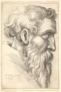 Skjegget gammel mann i profil til høyre, 1645. av Wenceslaus Hollar