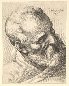 Skjeggete gammel mann med skrått hode av Wenceslaus Hollar