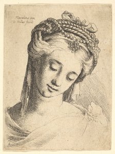 Byste av en ung kvinne med forseggjort hodeplagg, ser ned., 1625-77. av Wenceslaus Hollar