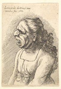Byste av kvinne med vidåpen munn og langt krøllete hår som faller over skuldrene hennes, iført..., 1665. av Wenceslaus Hollar