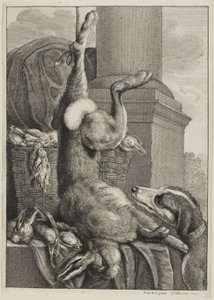 Død Hare av Wenceslaus Hollar