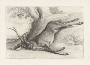 skutt hjort Jakt, jakthunder og vilt (serietittel) av Wenceslaus Hollar