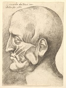Ecorche leder av en mann i profil til venstre, 1660. av Wenceslaus Hollar