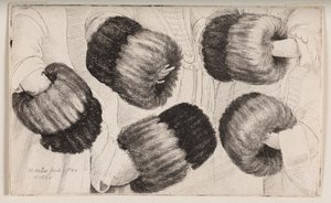 En muffe sett på fem forskjellige måter av Wenceslaus Hollar
