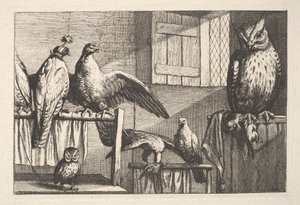 Høker og ugler, 1625-77. av Wenceslaus Hollar