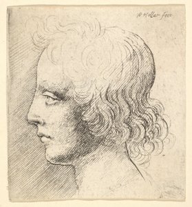 Hode av en ung mann av Wenceslaus Hollar