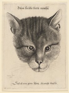  av Wenceslaus Hollar