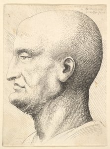 Hodet til en skallet mann i profil til venstre, 1644-52.