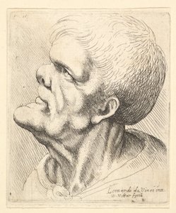 Hodet til en mann med utstående hake og snudd nese ser oppover i profil til venstre, 1625-77. av Wenceslaus Hollar