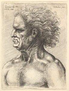Hodet til en muskuløs gammel mann i profil til venstre med flytende hår, 1625-77. av Wenceslaus Hollar