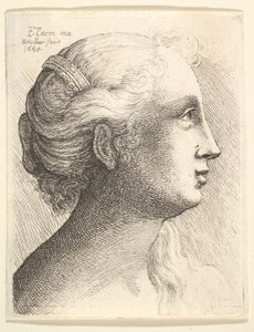 Leder for en ung kvinne i profil til høyre, 1645. av Wenceslaus Hollar