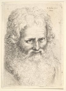 Hodet til en gammel mann med stort skjegg, 1645. av Wenceslaus Hollar