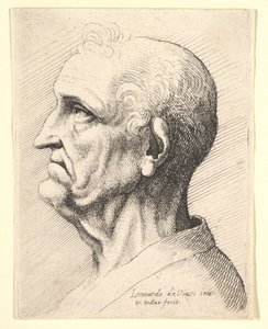 Hodet til en gammel mann med krøllete hårtotter rundt øret i profil til venstre, 1644-52. av Wenceslaus Hollar