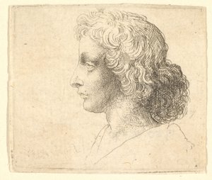 Hode av ung mann med langt hår i profil til venstre, 1644-52. av Wenceslaus Hollar
