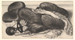  av Wenceslaus Hollar