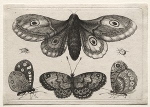  av Wenceslaus Hollar