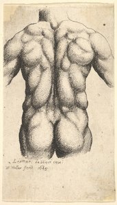 Naken mannlig torso sett bakfra, 1645. av Wenceslaus Hollar