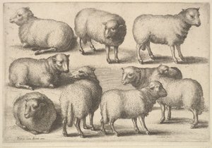 Ni sauer, 1646. av Wenceslaus Hollar