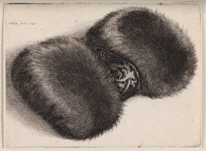  av Wenceslaus Hollar