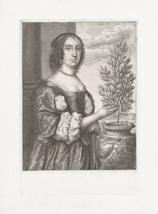 Portrett av en kvinne som står ved siden av en laurbærplante av Wenceslaus Hollar