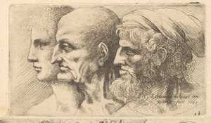 Rad med tre hoder i profil til venstre, 1645. av Wenceslaus Hollar