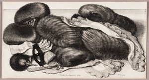 Stilleben med en gruppe muffer, et par hansker og to tørkle av Wenceslaus Hollar