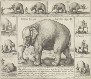 De lukter også En elefant ble sett her i Europa (tittel på objekt) av Wenceslaus Hollar