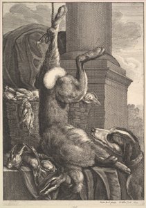 Den døde haren, 1649. av Wenceslaus Hollar