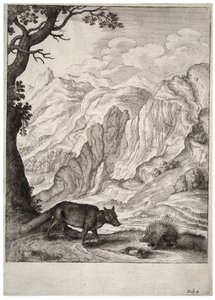 Reven og piggsvinet. Tilstand 2 av Wenceslaus Hollar