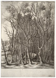 Reven og tornebusken. Tilstand 2 av Wenceslaus Hollar