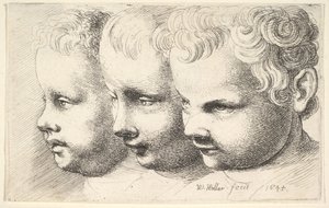 Tre barnehoder av Wenceslaus Hollar