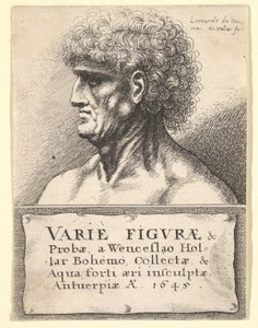 Tittelside til Variety of Figures & Probes, 1645 av Wenceslaus Hollar