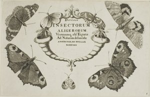Tittelside fra Diverse insekter av Wenceslaus Hollar