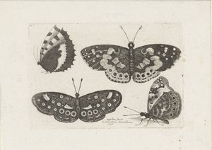 Vier vlinders Insekter (serietittel) Scarab Flies (serietittel) av Wenceslaus Hollar