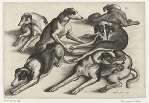 Seks liggende jakthunder Jakt, jakthunder og vilt (serietittel) av Wenceslaus Hollar