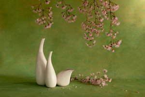  av Wendy Xu