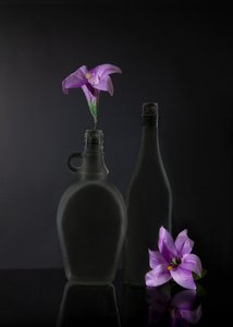  av Wendy Xu