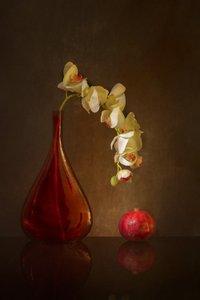  av Wendy Xu