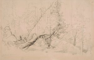  av Werner Holmberg