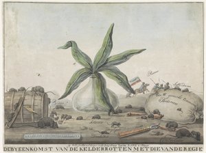 Tegneserie om franske skikker, 1813-1814 The Gathering of the Basement Rotten med direktørens (tittel på objekt) av Wijnand Esser