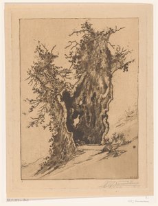 Hult tre ved Seelisberg i Sveits Hollow Tree (original tittel)