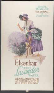 Elsenham Lavender, 1920-tallet av Wilfred Fryer