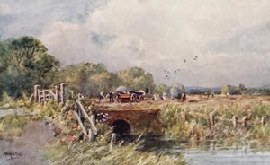  av Wilfrid Williams Ball