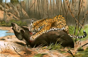 Jaguar dreper tapir av Wilhelm Kuhnert