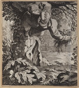 Den dristige narren av Wilhelm Stettler