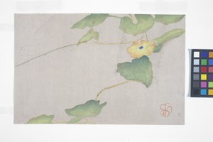 Flower Study, ca. 1908 (treblokktrykk i farger) av Wilhelmina Seegmiller