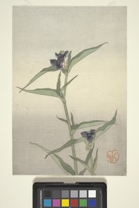 Flower Study, ca. 1908 (treblokktrykk i farger) av Wilhelmina Seegmiller