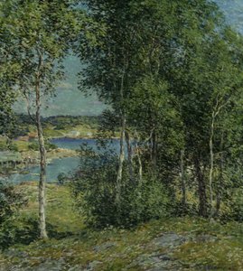 En familie av bjørker, 1907.